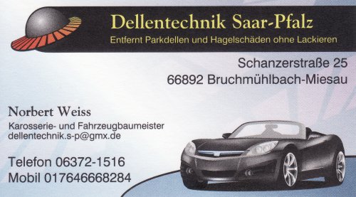 Logo Dellentechnik Saar-Pfalz