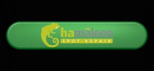 Logo Chamäleon - Spot-Repair