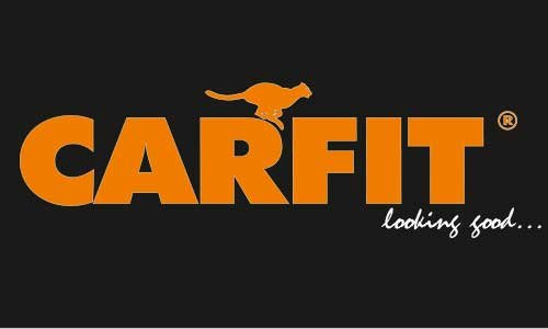 Logo CARFIT