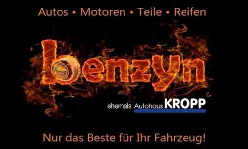 Logo Benzyn