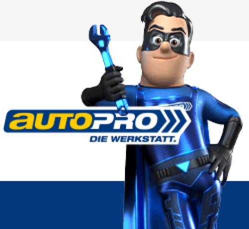 Logo AutoPro Werkstatt Team Nico